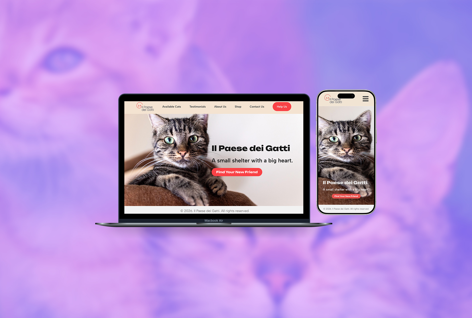 Il Paese dei Gatti