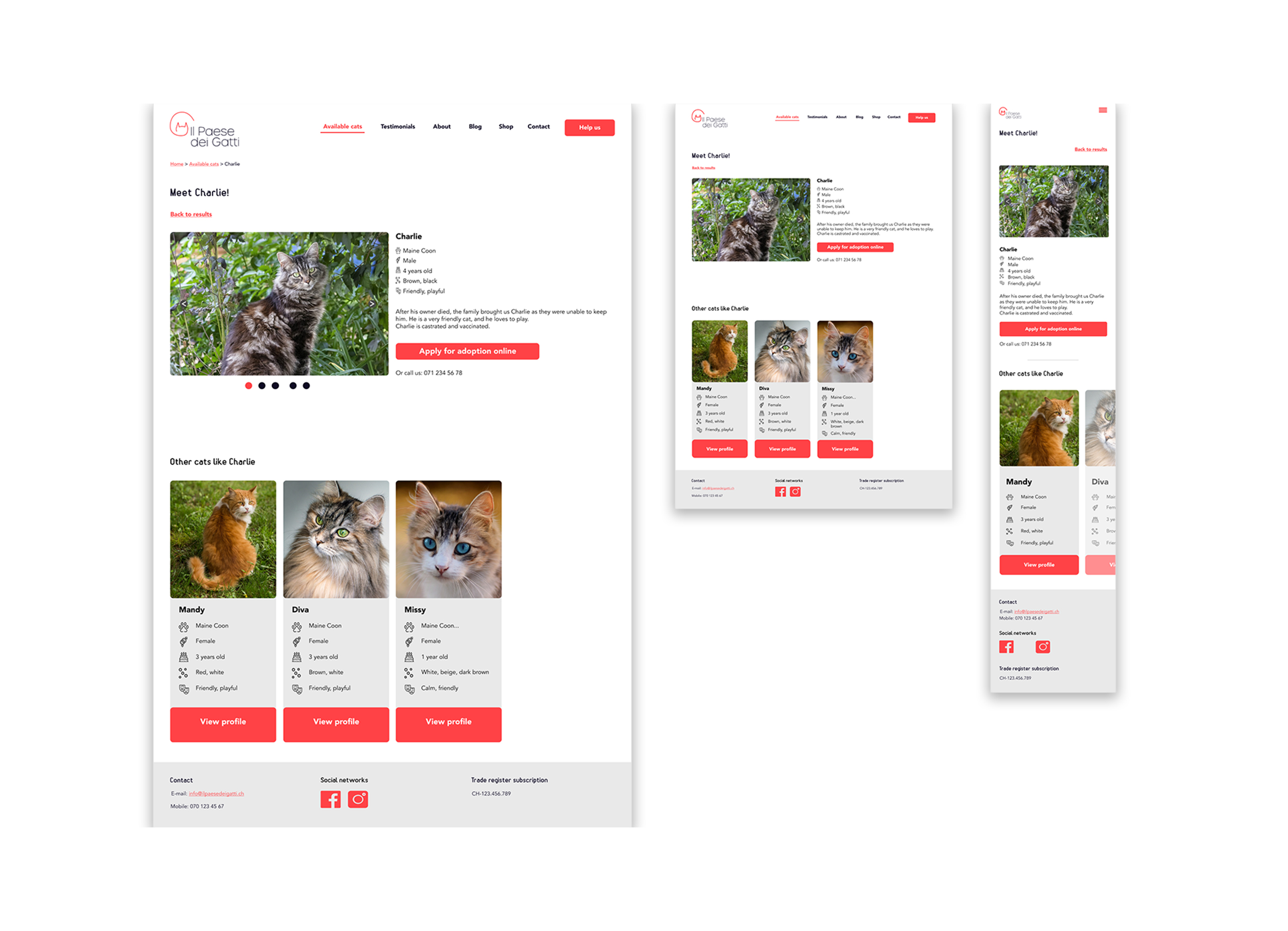 ipdg_mockup_catprofile