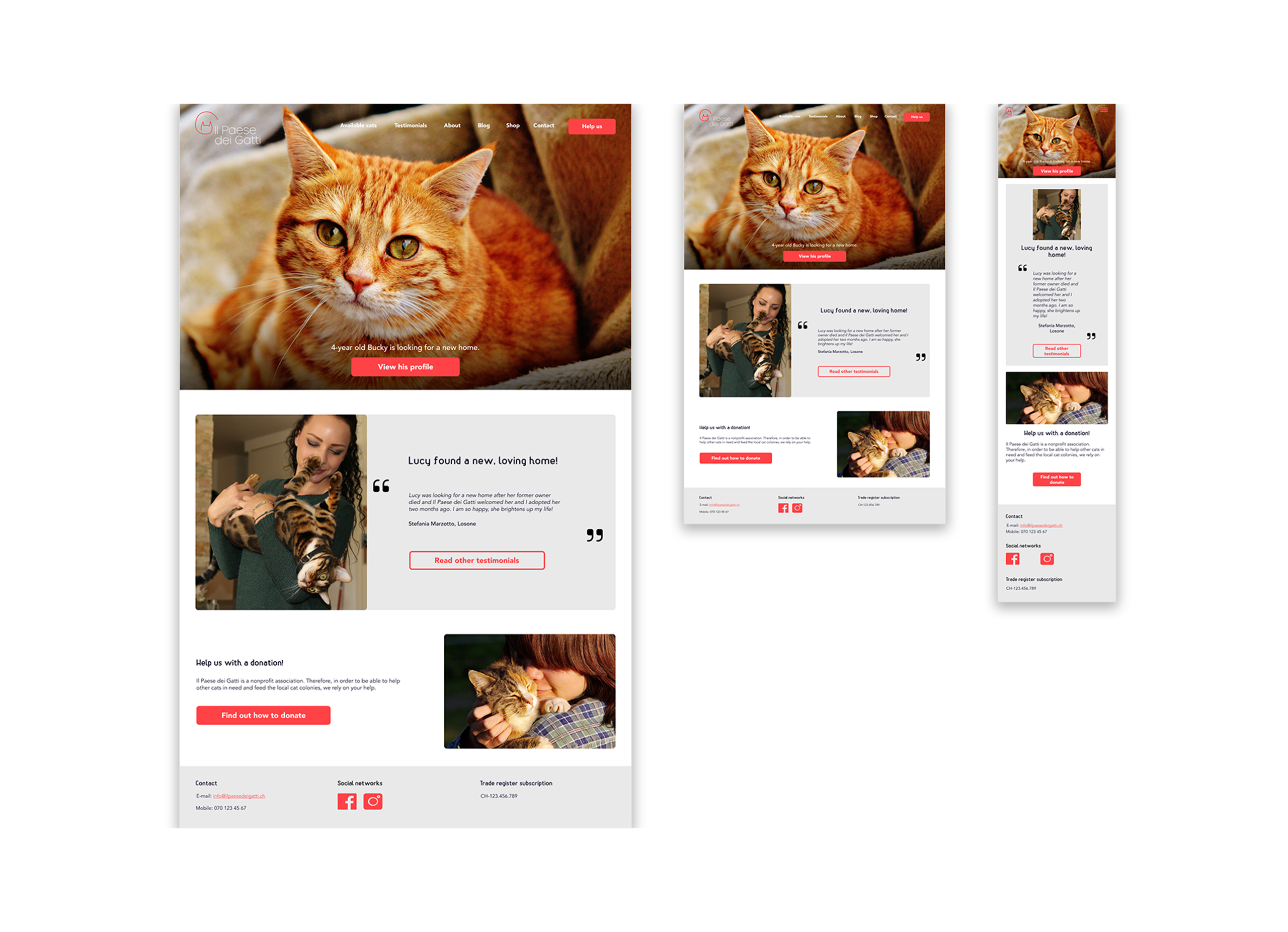 ipdg_mockup_home