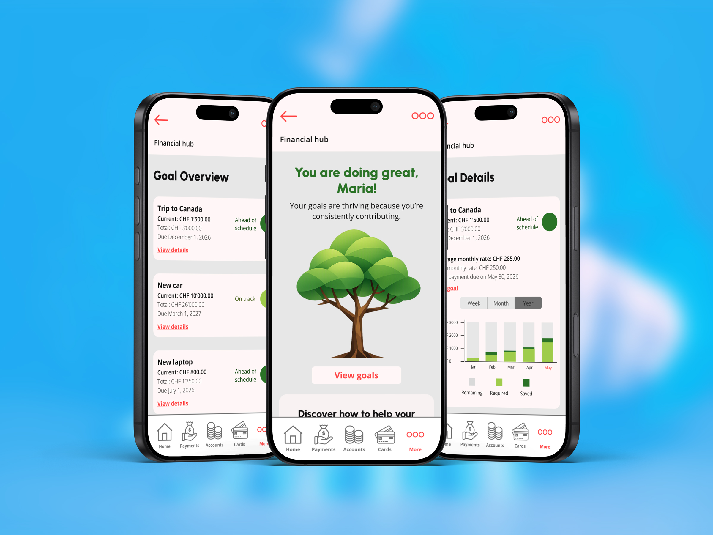 financial_hub_3_screens